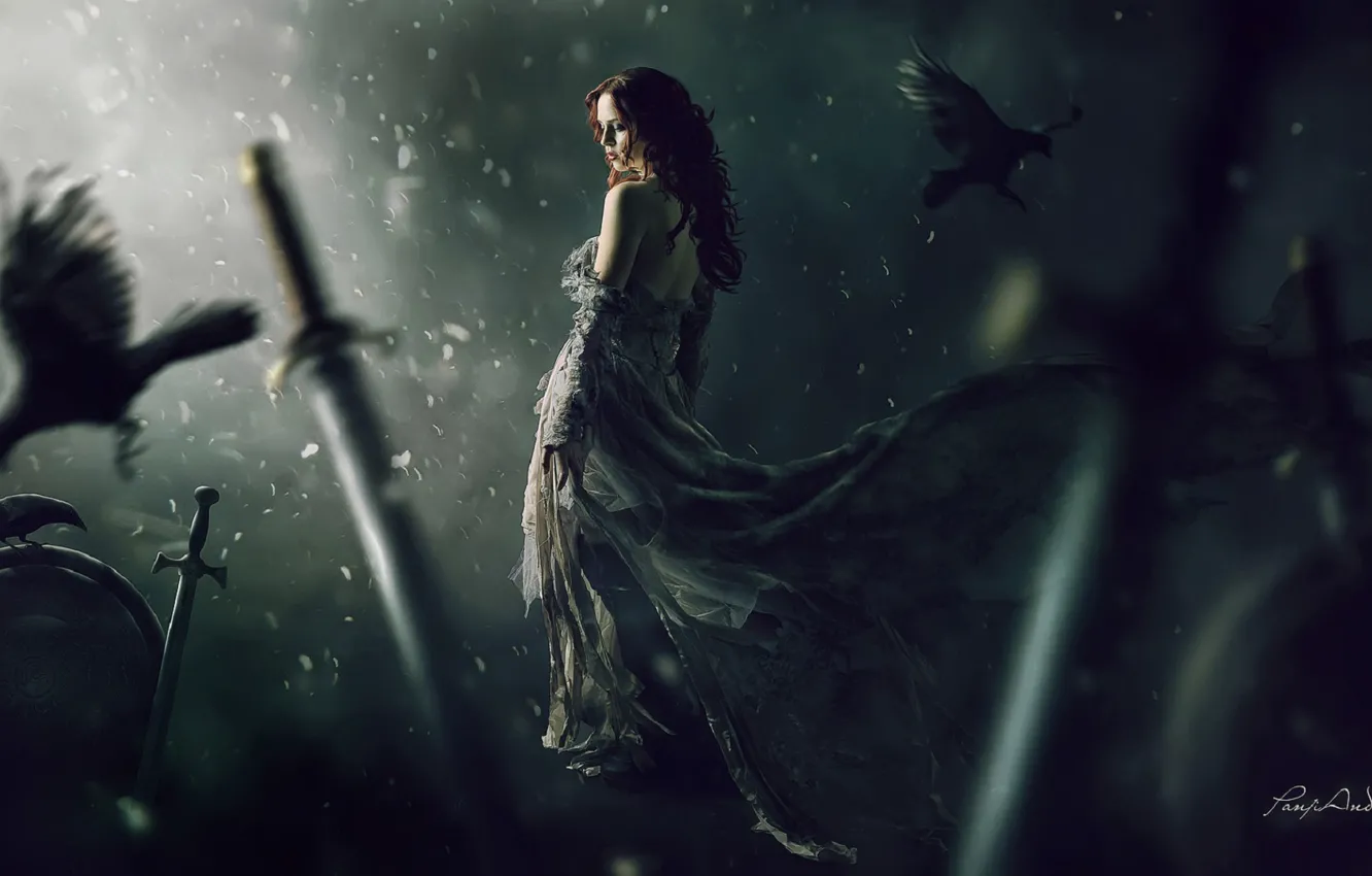 Photo wallpaper girl, crows, swords
