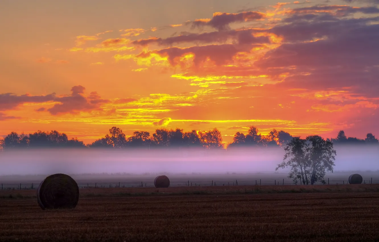Photo wallpaper field, clouds, trees, sunset, fog, the fence, silhouette, hay