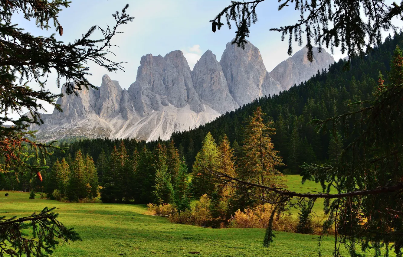 Photo wallpaper mountains, bumps, The Dolomites, needles, view, rocks, field, branches