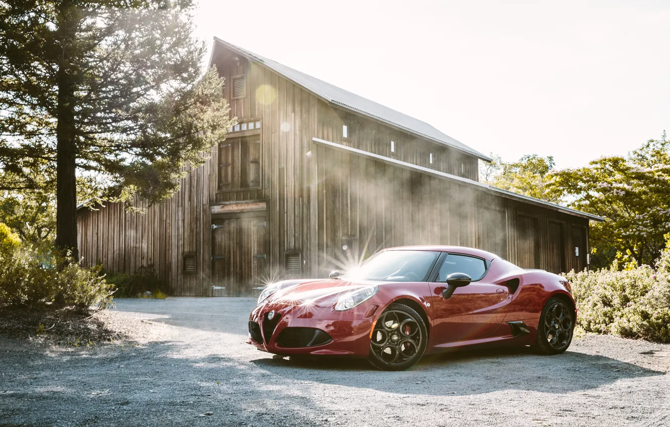 Photo wallpaper forest, the barn, Alfa Romeo, Launch Edition, 2015