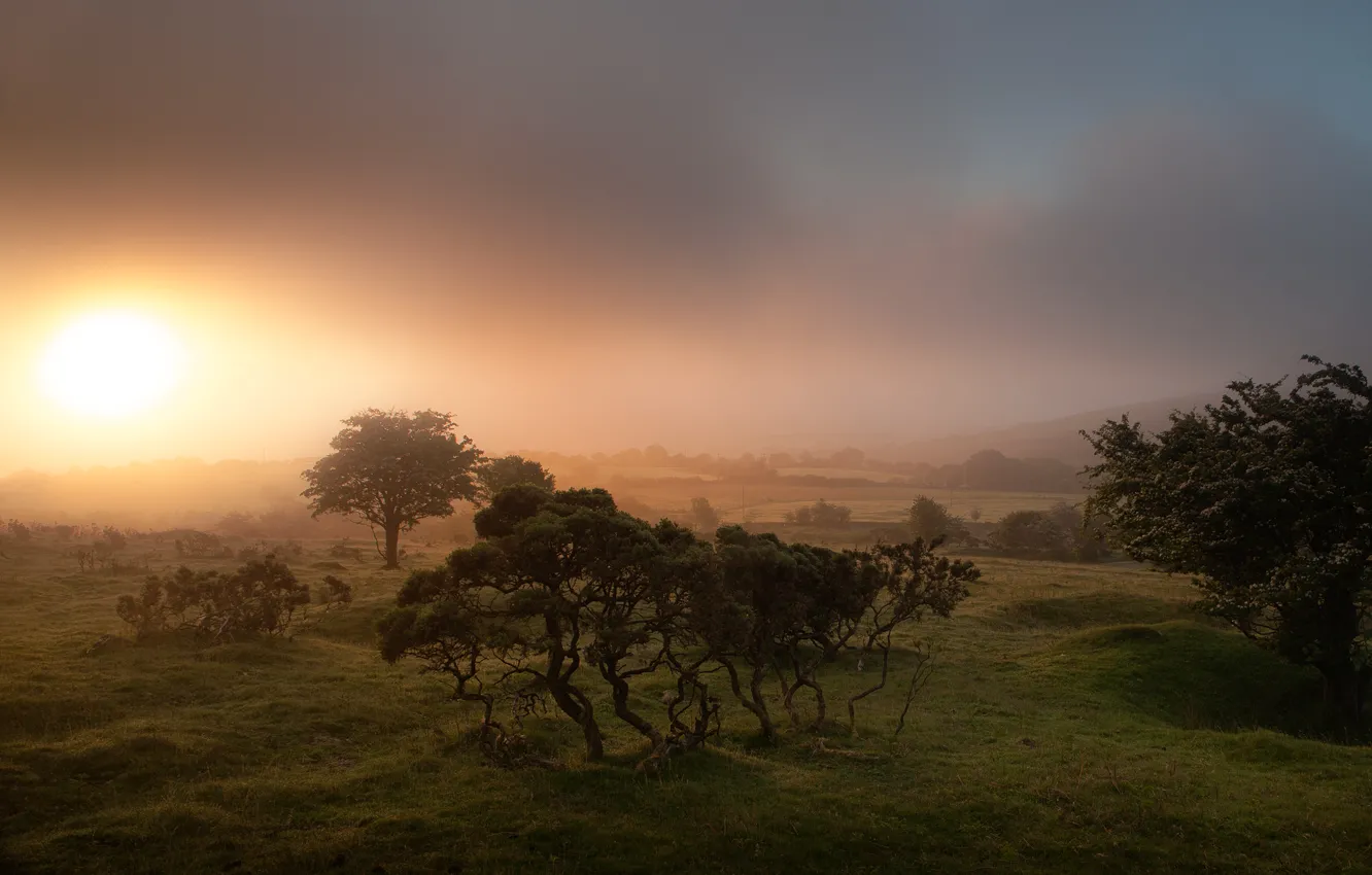 Photo wallpaper fog, sunrise, England, Cornwall