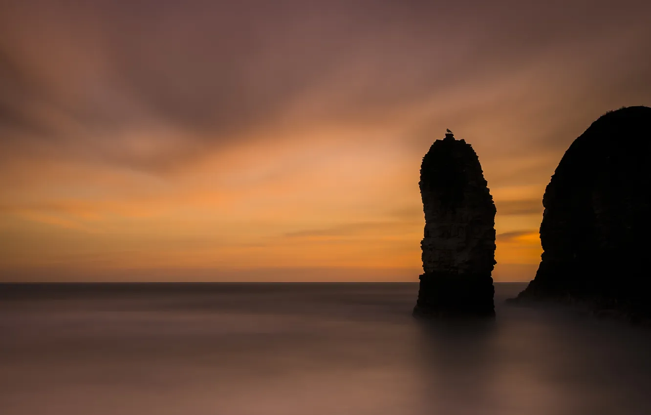 Photo wallpaper sea, night, rocks