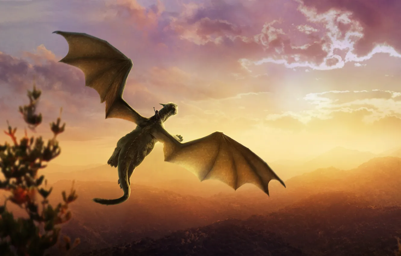 Photo wallpaper Fantasy, Nature, Clouds, Sky, Dragon, Green, Sunset, and