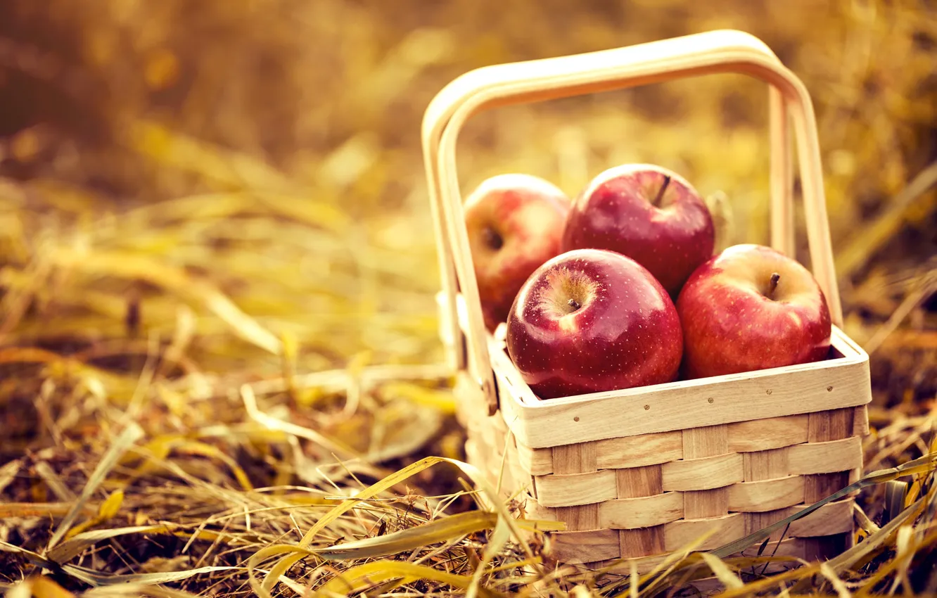 Photo wallpaper nature, background, basket, apples, hay