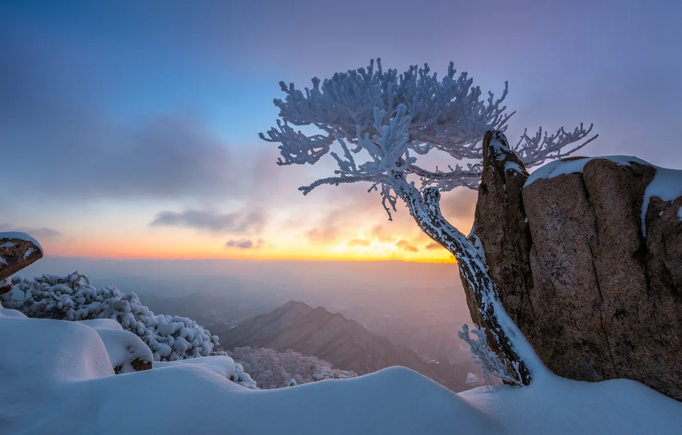 Photo wallpaper winter, snow, trees, landscape, mountains, nature, rocks, morning