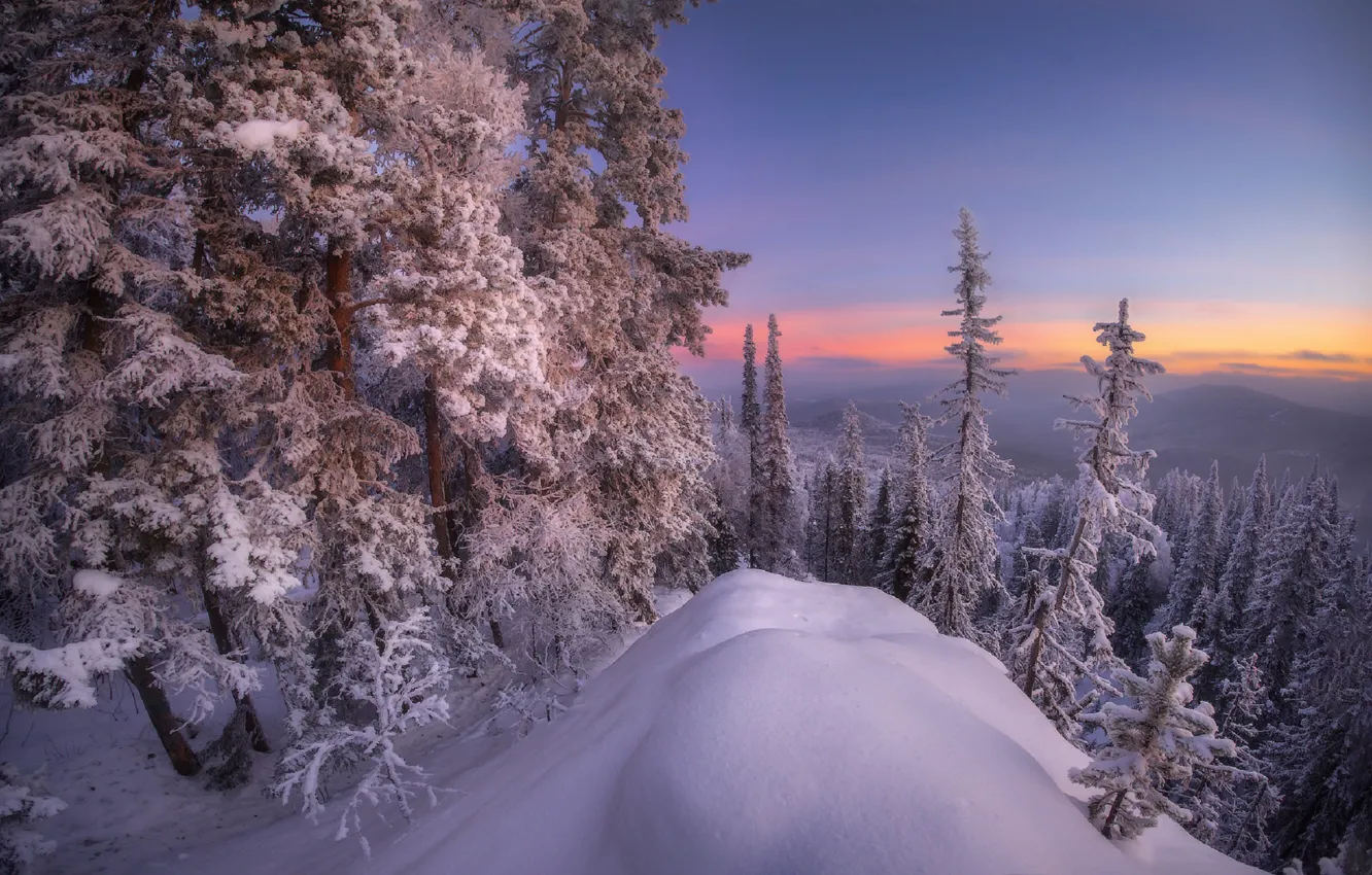 Photo wallpaper forest, snow, mountains, South Ural