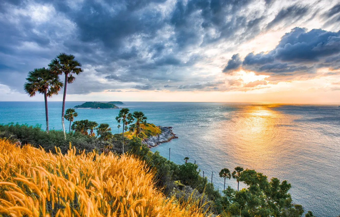 Photo wallpaper sunrise, palm trees, the ocean, dawn, coast, Thailand, Phuket, Thailand