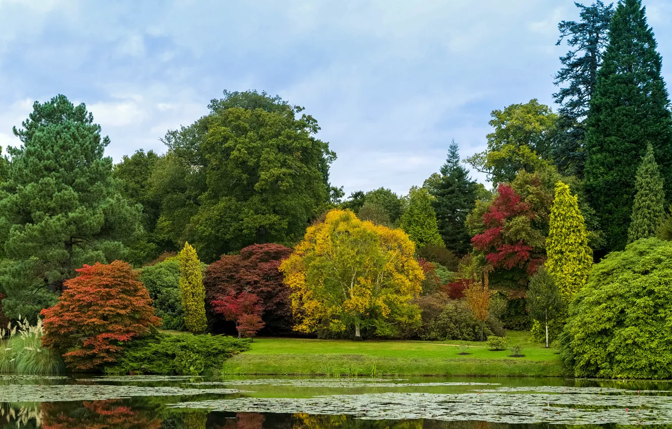 Photo wallpaper autumn, forest, the sky, trees, pond, Park