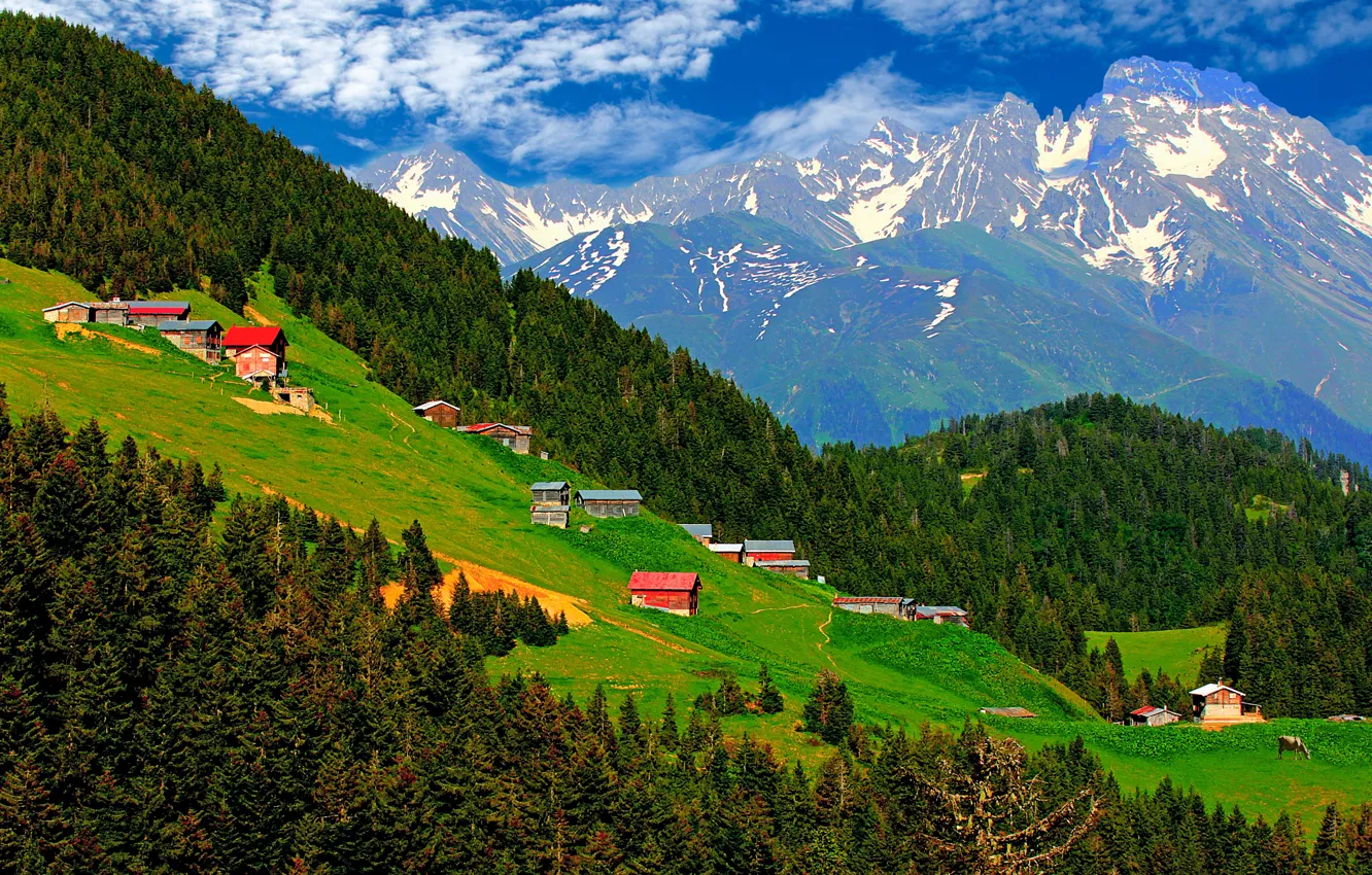 Photo wallpaper Turkey, Çamlıhemşin, Rize, pokut plateau