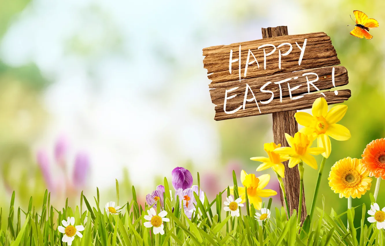 Photo wallpaper the sky, grass, the sun, flowers, basket, spring, Easter, flowers