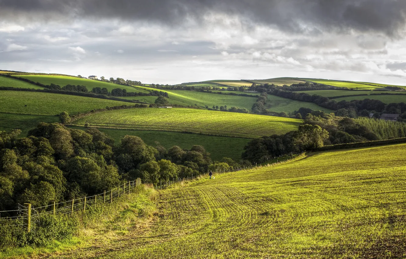 Photo wallpaper field, trees, hills, England, Cornwall, rural landscape