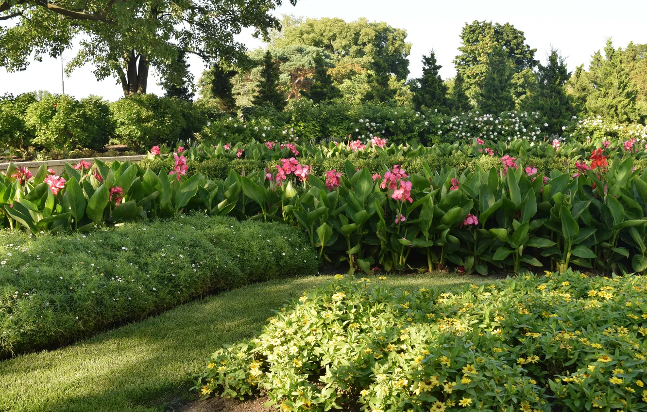 Photo wallpaper greens, grass, leaves, trees, flowers, Park, the bushes