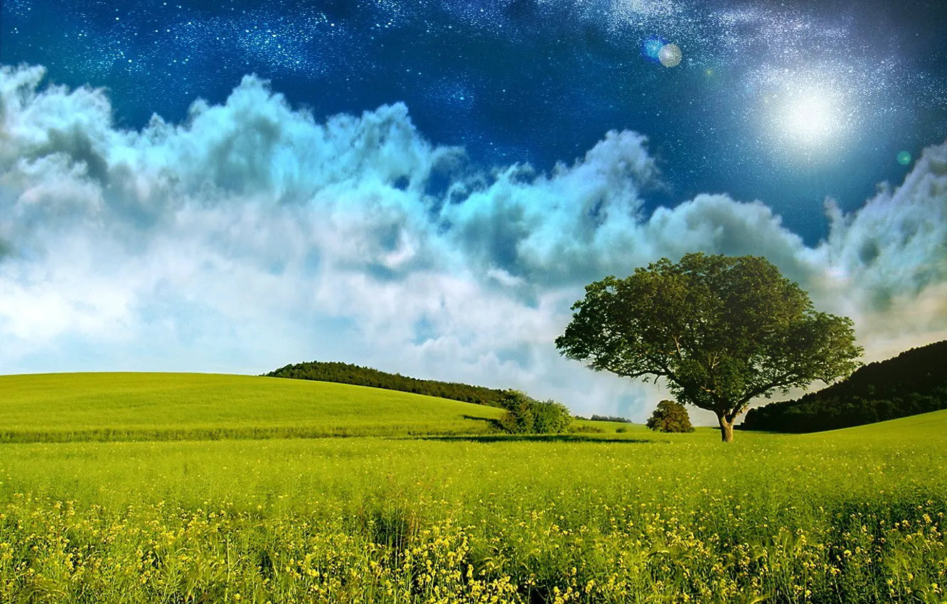 Photo wallpaper field, stars, clouds, trees