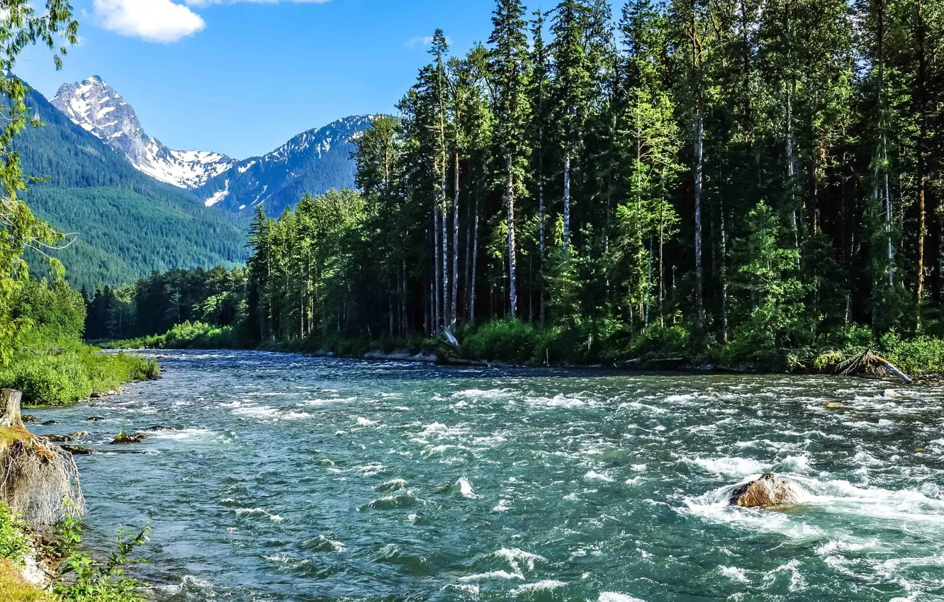 Photo wallpaper forest, the sky, clouds, landscape, mountains, nature, stones, plant