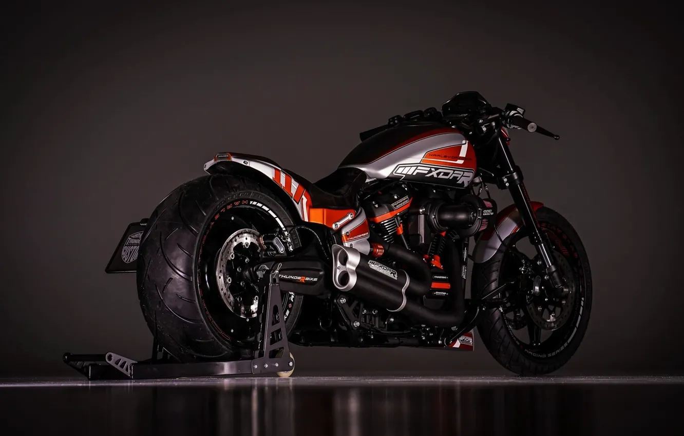 Photo wallpaper Harley-Davidson, Custom, Thunderbike