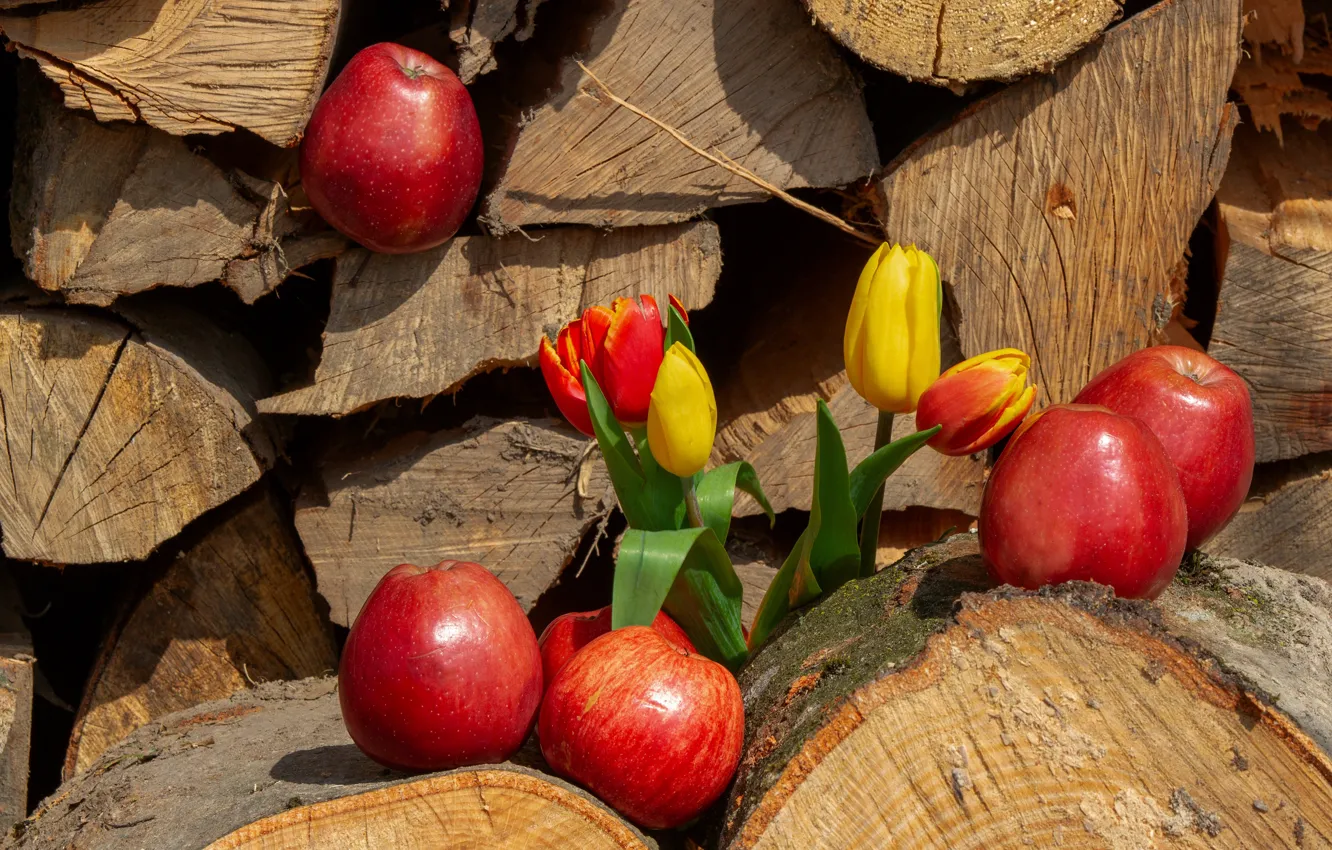 Photo wallpaper flowers, apples, yellow, tulips, red, wood, fruit