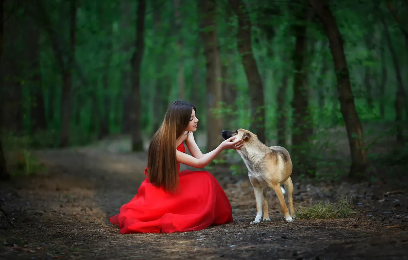 Photo wallpaper forest, girl, dog, friendship, red dress