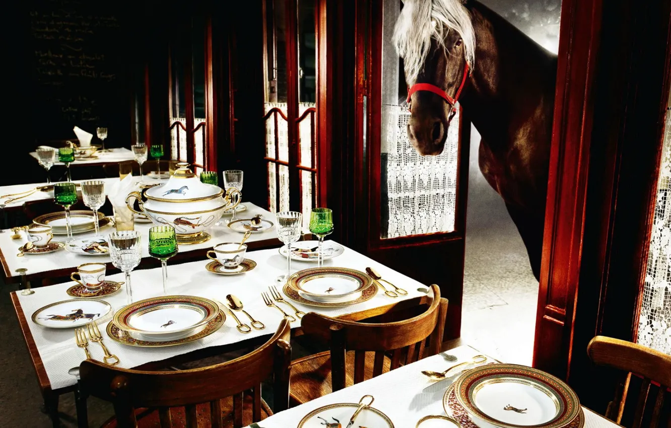 Photo wallpaper table, horse, restaurant
