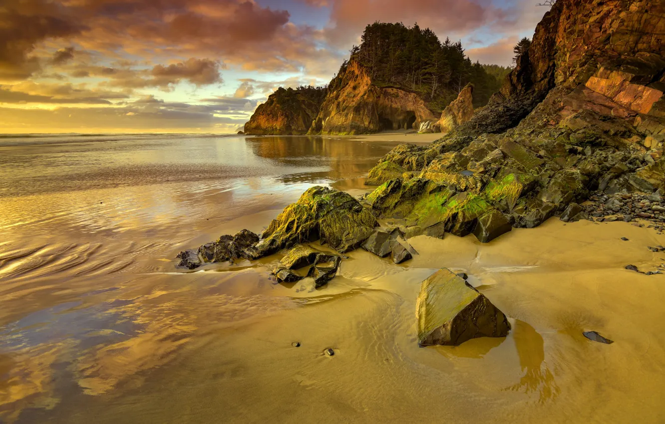 Photo wallpaper sea, stones, rocks, shore, Oregon, USA