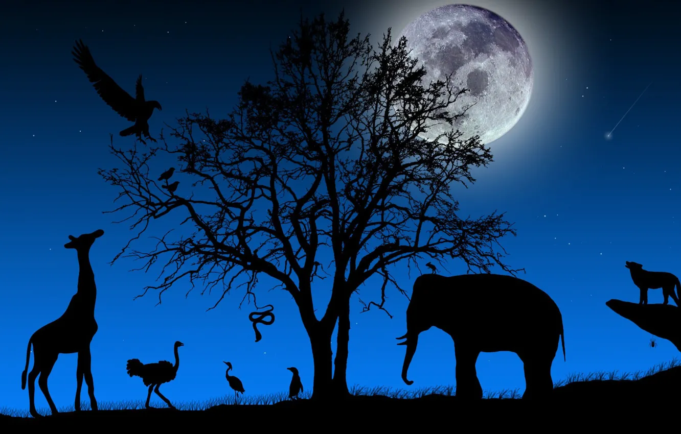 Photo wallpaper TREE, The SKY, NIGHT, The MOON, STARS, BRANCHES, ELEPHANT, SNAKE