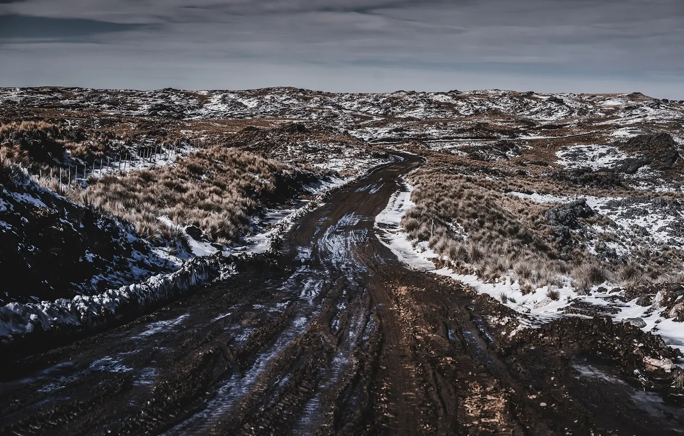 Photo wallpaper winter, road, field