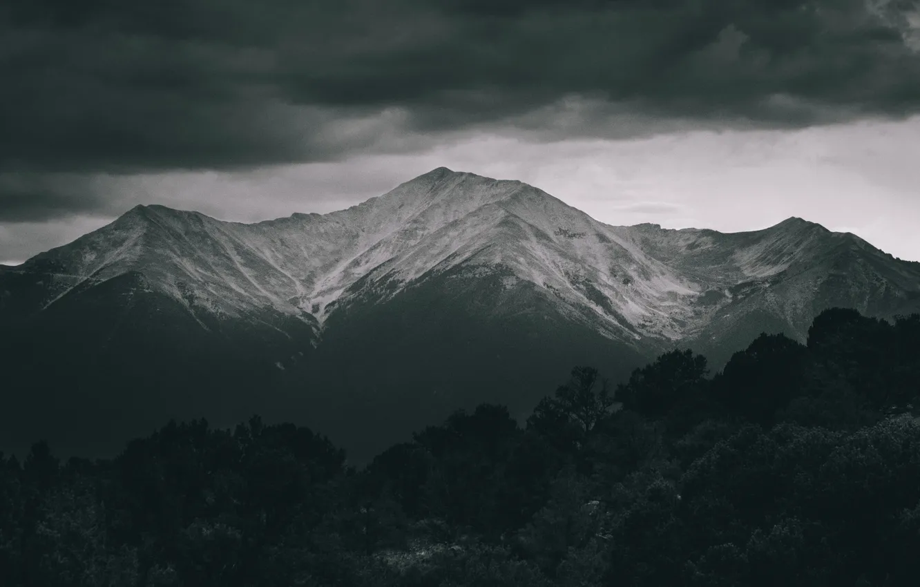 Photo wallpaper the sky, clouds, trees, mountains, clouds, nature