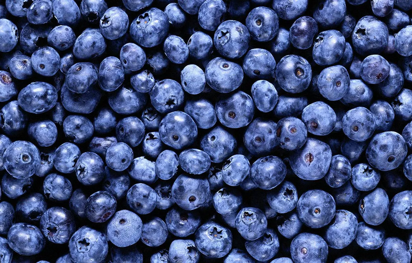Photo wallpaper background, food, blueberries, berry, vitamins :)