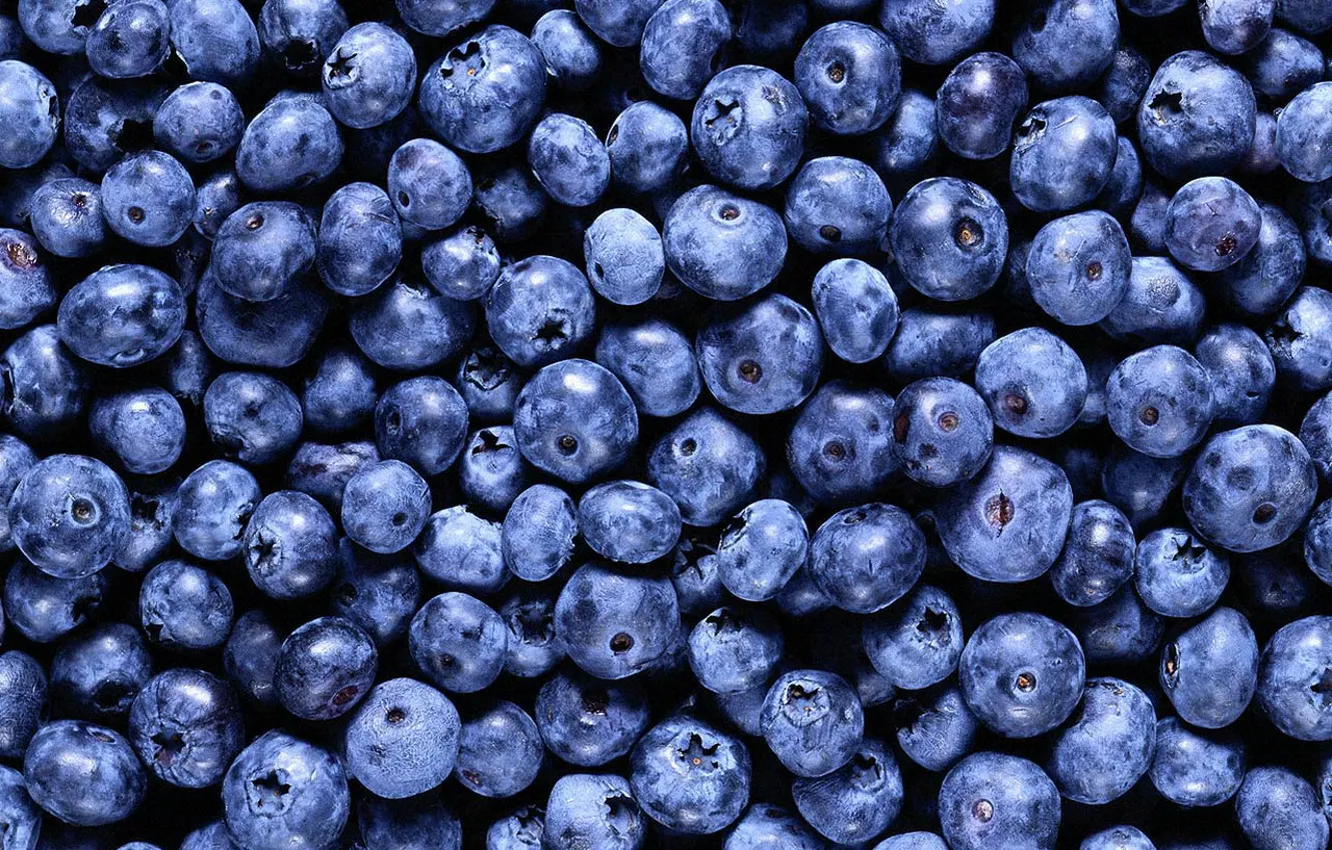 Photo wallpaper berries, background, food, blueberries, vitamins :)