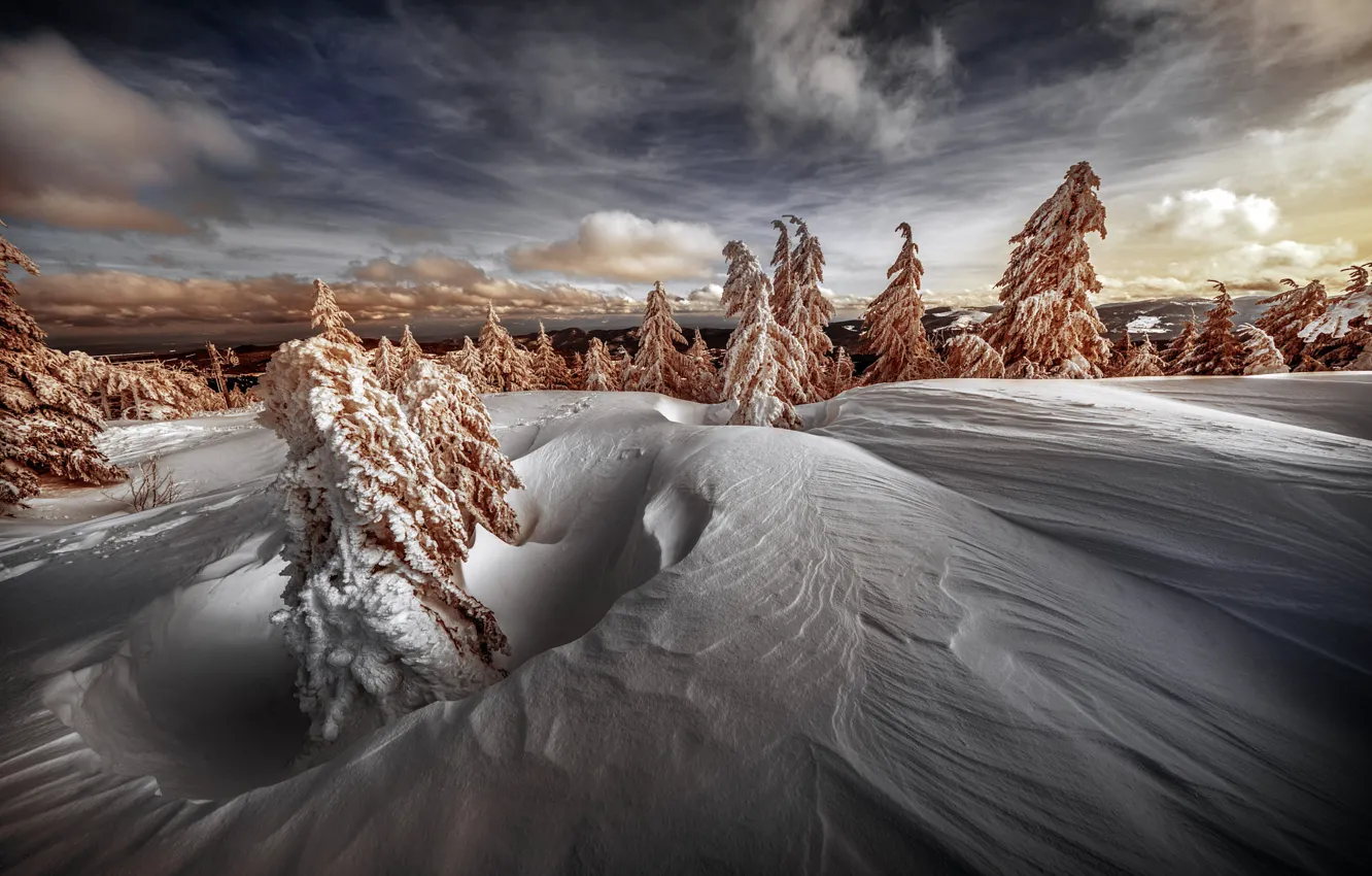 Photo wallpaper winter, forest, the sky, clouds, snow, dal, ate, the snow