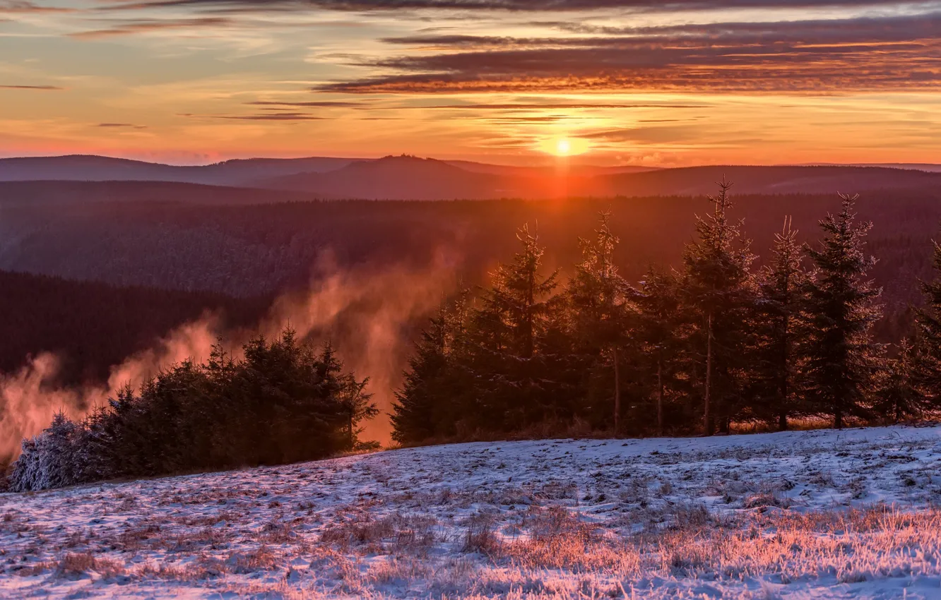 Photo wallpaper winter, nature, morning