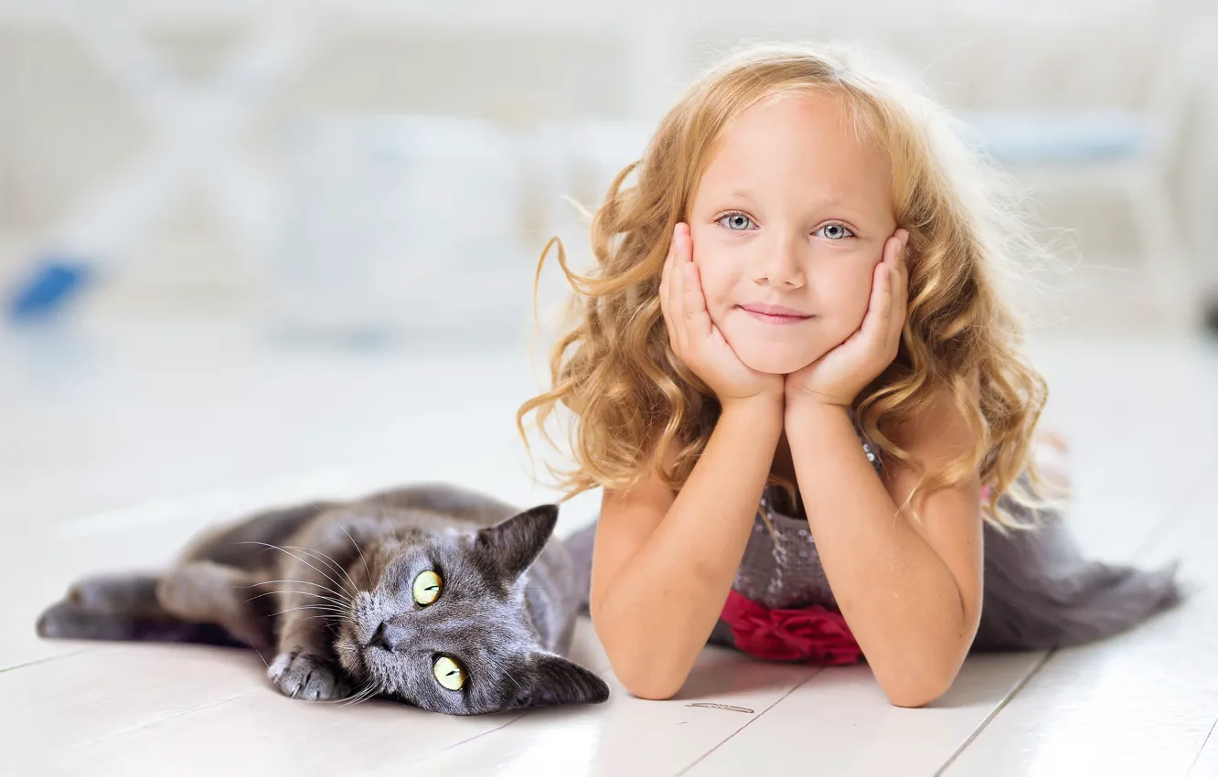 Photo wallpaper cat, cat, look, children, face, pose, smile, grey