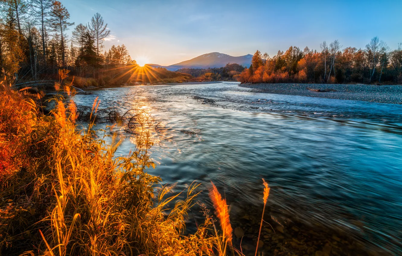 Photo wallpaper river, sunset, water, foliage