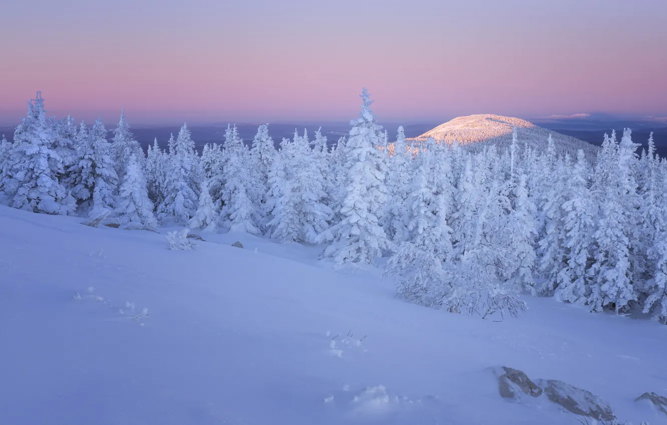 Photo wallpaper winter, frost, forest, snow, mountains, stones, dawn, in the snow