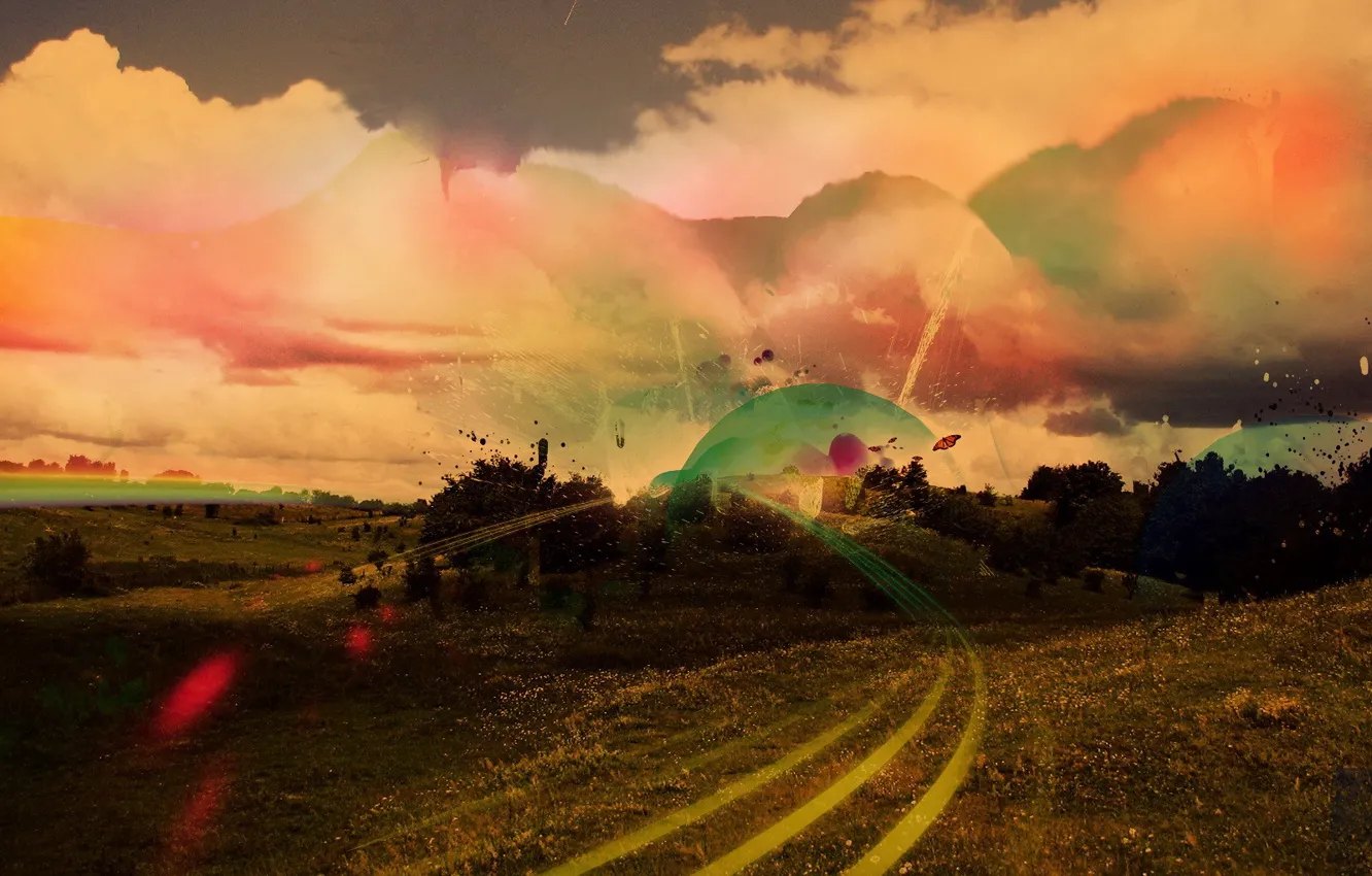 Photo wallpaper field, line, treatment