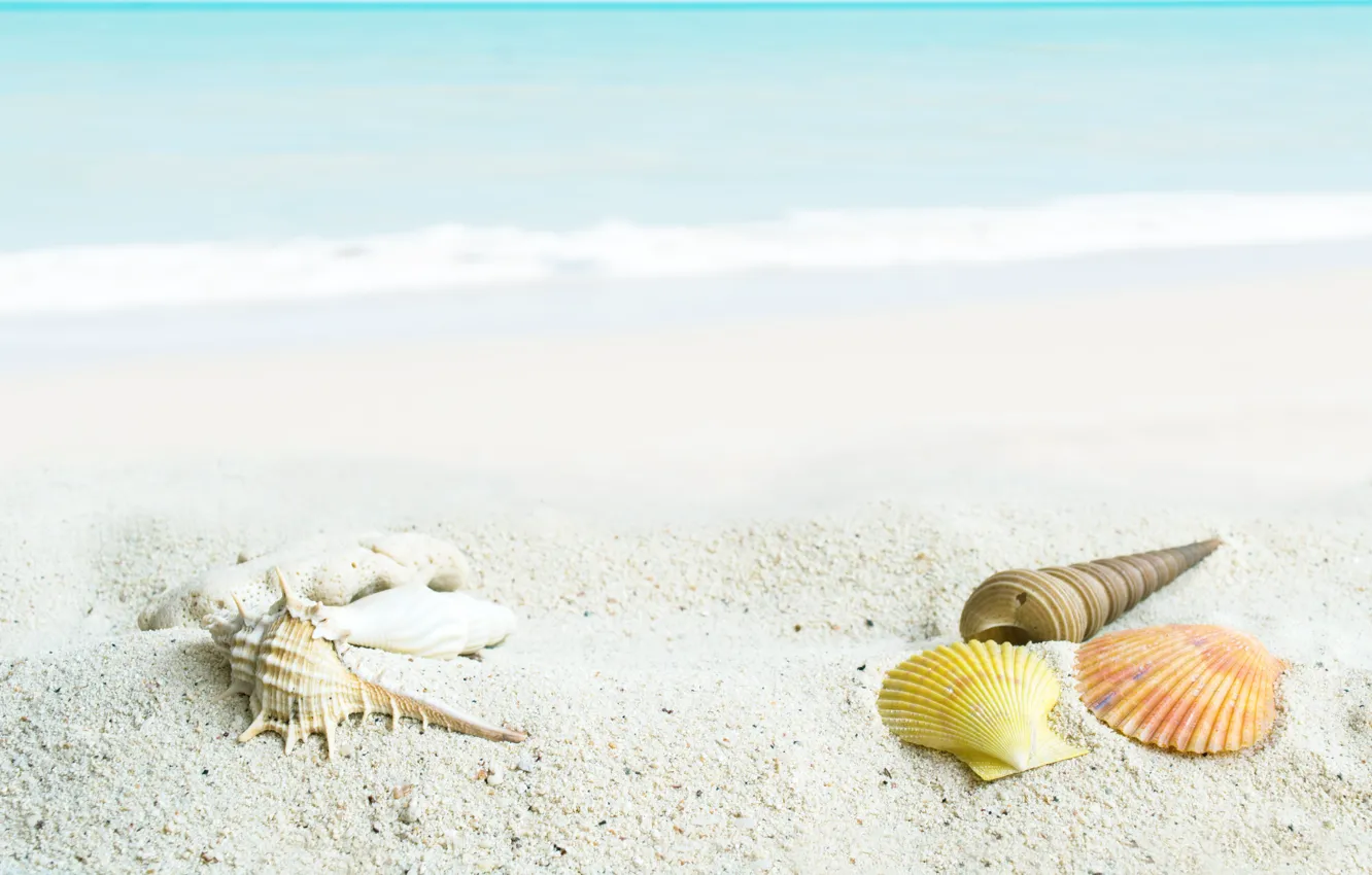 Photo wallpaper sand, sea, wave, beach, summer, shore, shell, summer