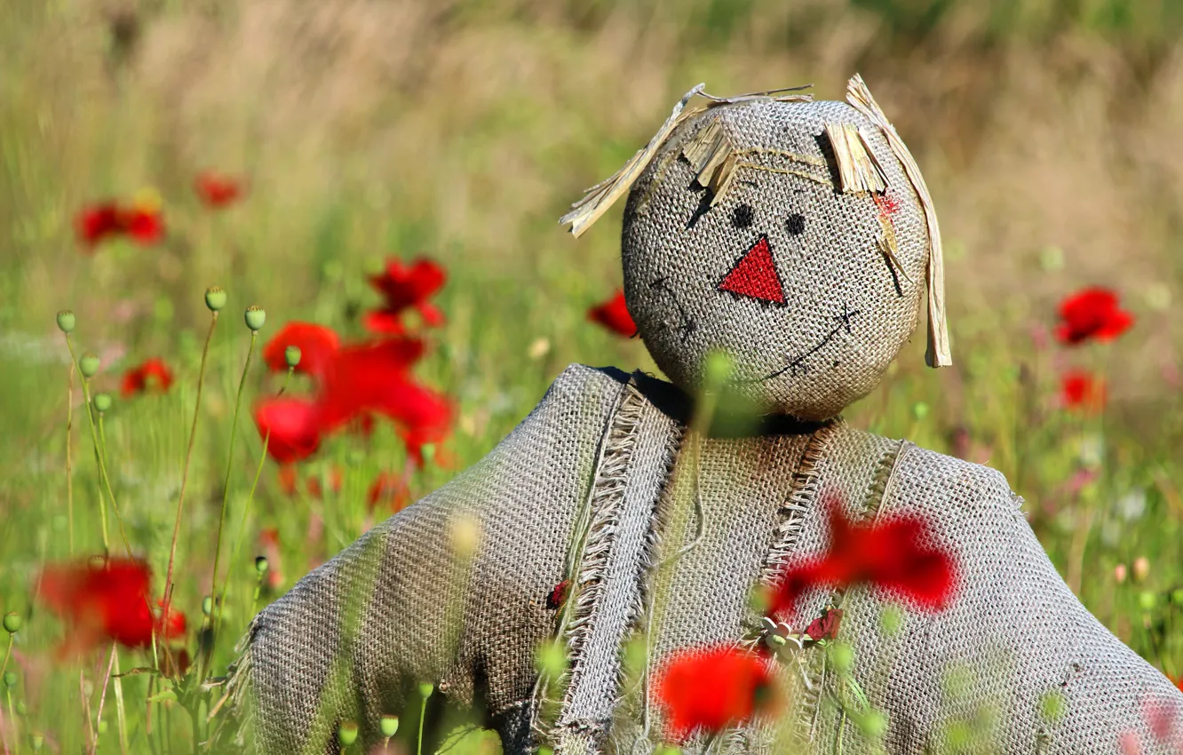 Photo wallpaper field, summer, flowers, Mac, Maki, men, fabric, faces