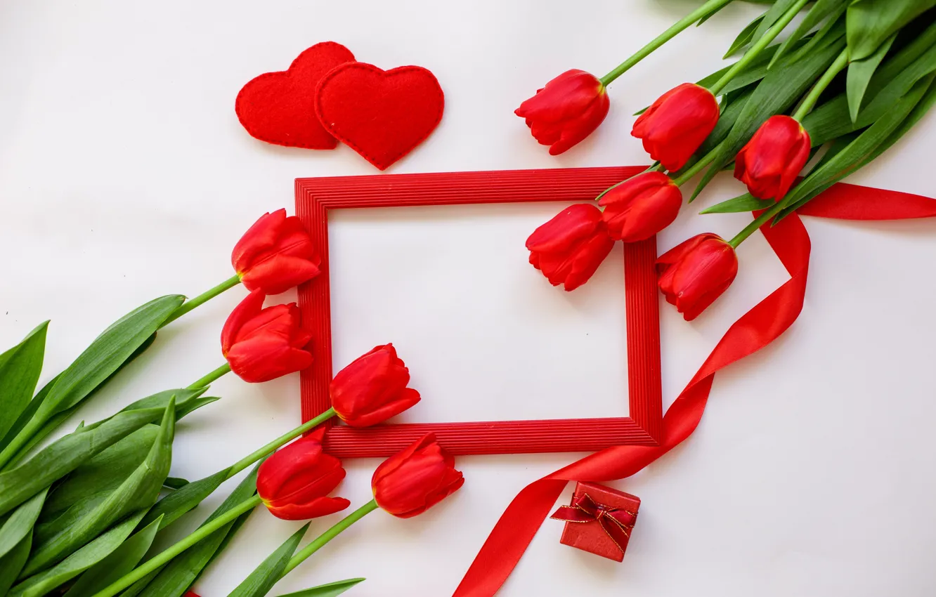 Photo wallpaper white, red, background, gift, frame, tulips