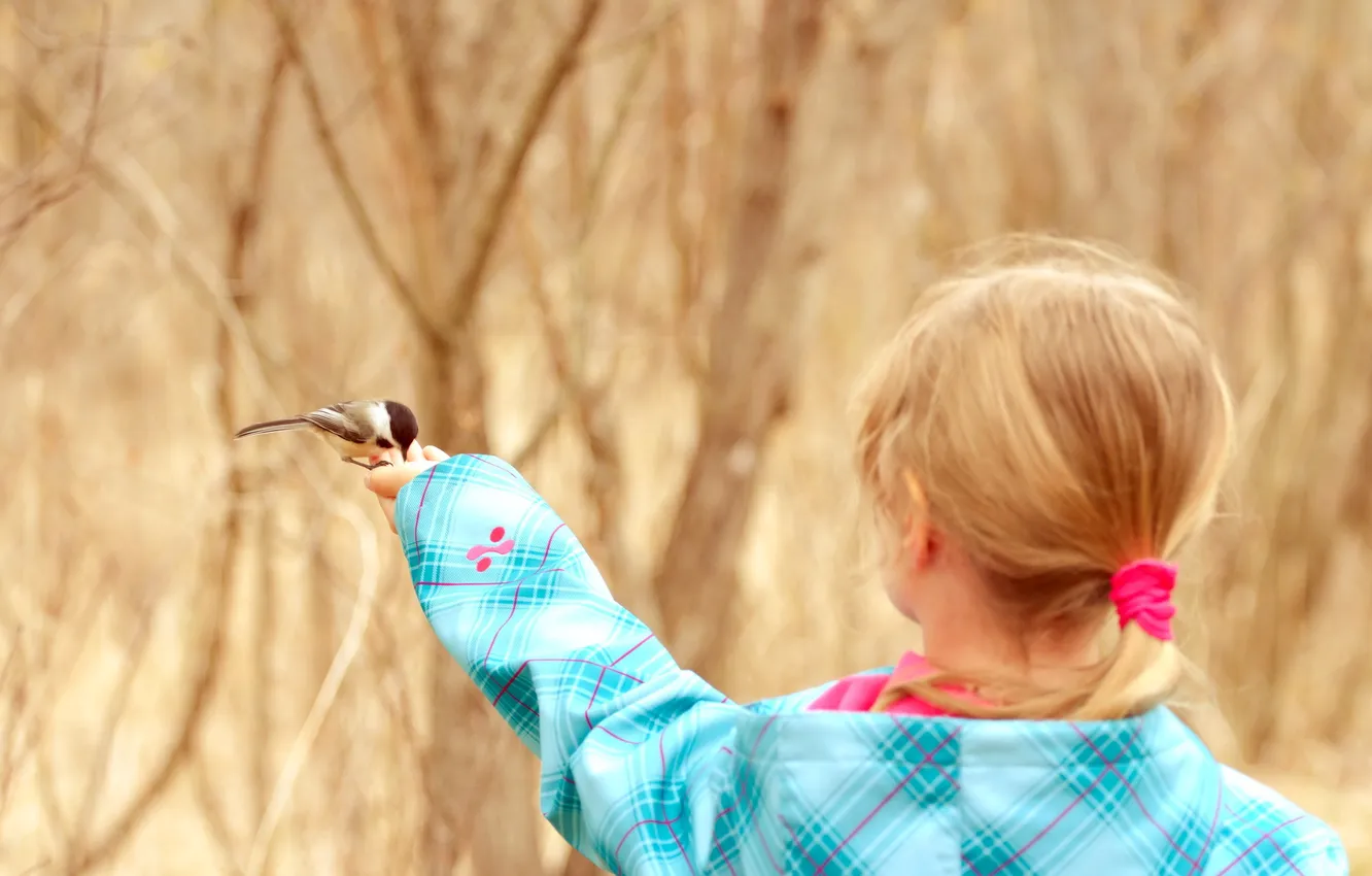 Photo wallpaper mood, bird, girl