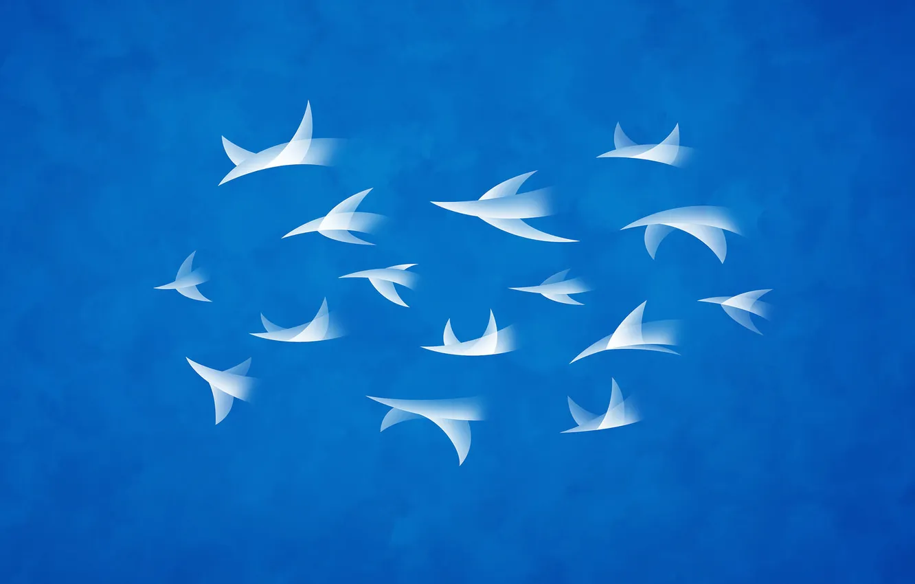 Photo wallpaper the sky, flight, vladstudio, Flock
