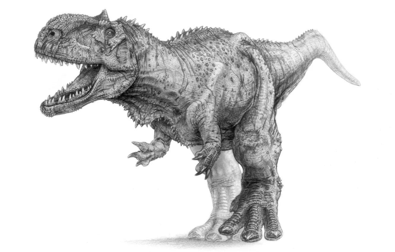 Photo wallpaper drawing, dinosaur, scavenger