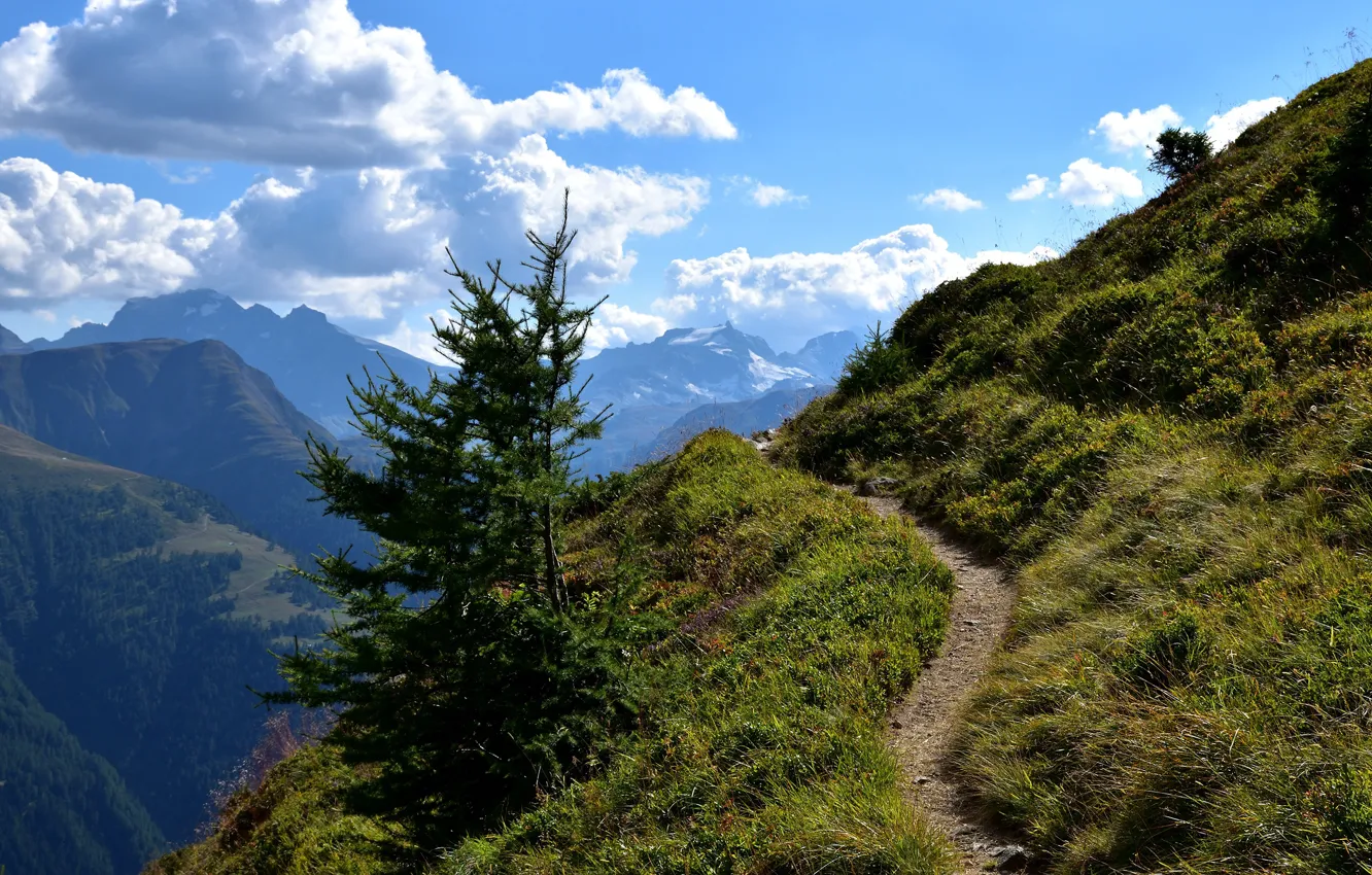 Photo wallpaper summer, grass, the sun, clouds, mountains, height, trail, hill