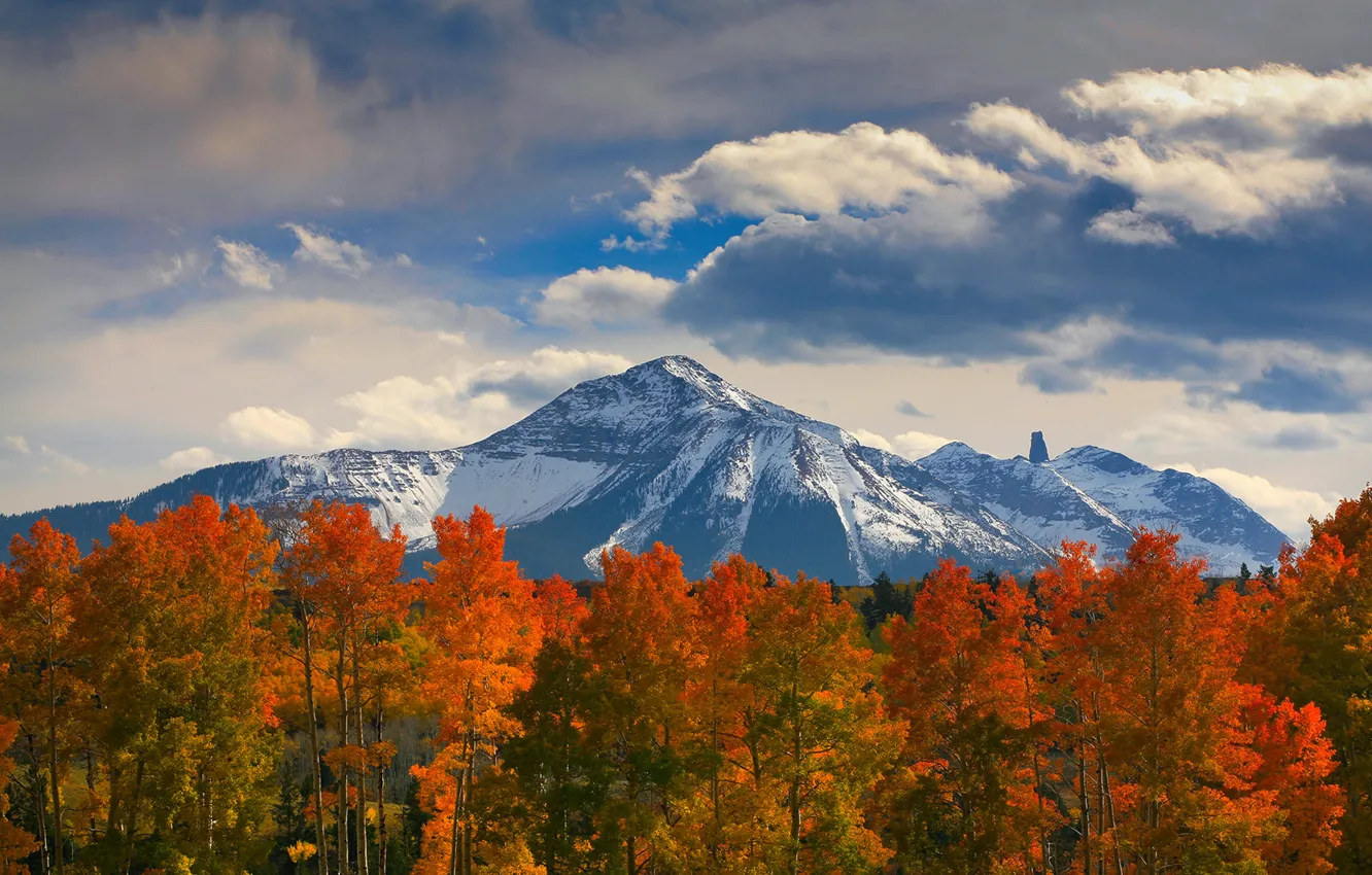 Photo wallpaper autumn, forest, the sky, clouds, snow, trees, mountains, nature