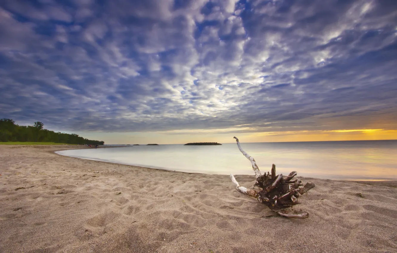 Photo wallpaper sand, sea, clouds, coast, snag