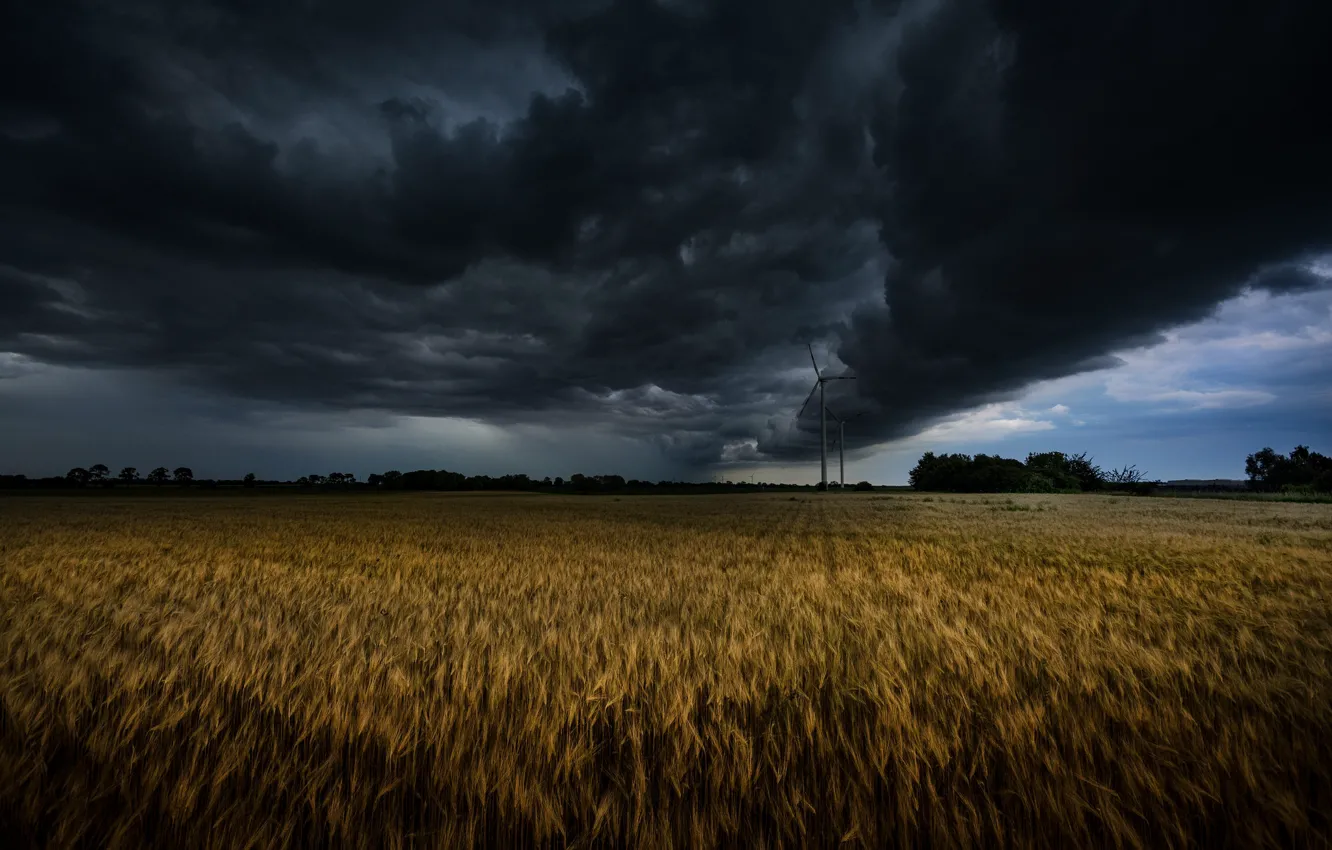 Photo wallpaper field, clouds, windmills