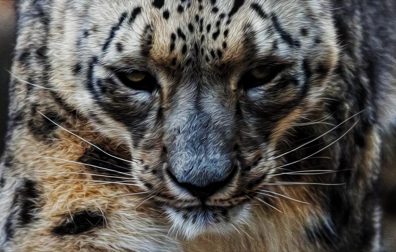 Photo wallpaper profile, IRBIS, snow leopard