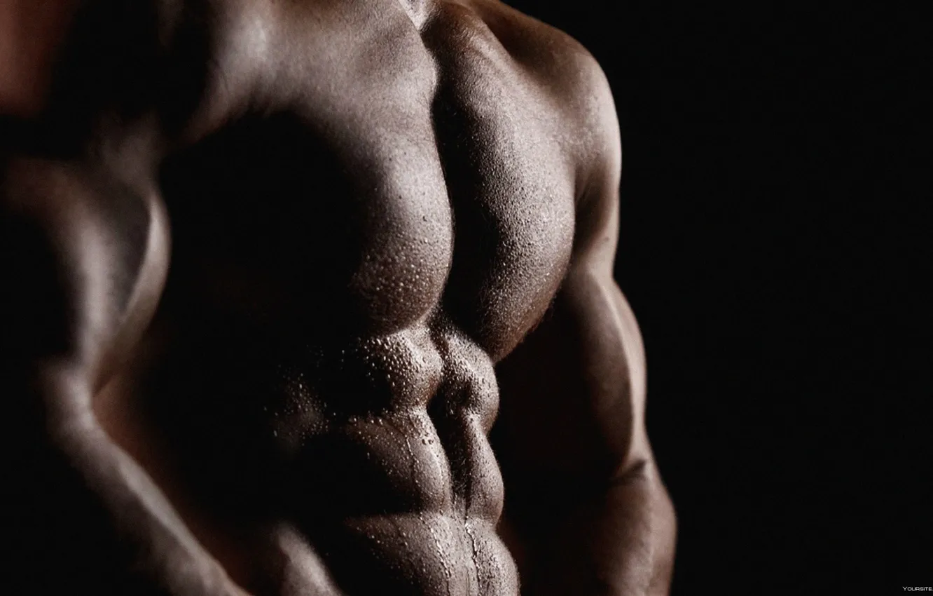 Photo wallpaper black background, torso, muscle, press