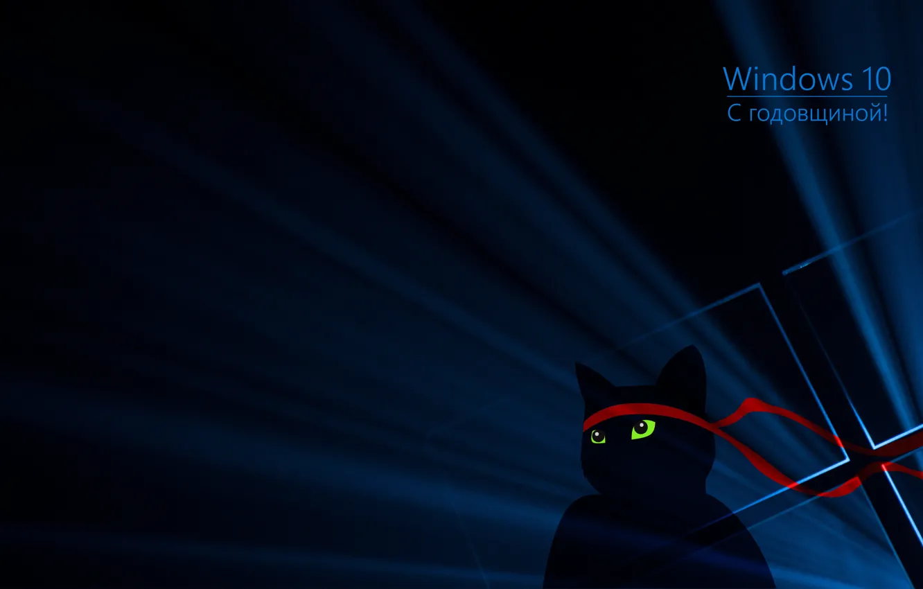 Photo wallpaper cat, ninja, Windows 10, Anniversary
