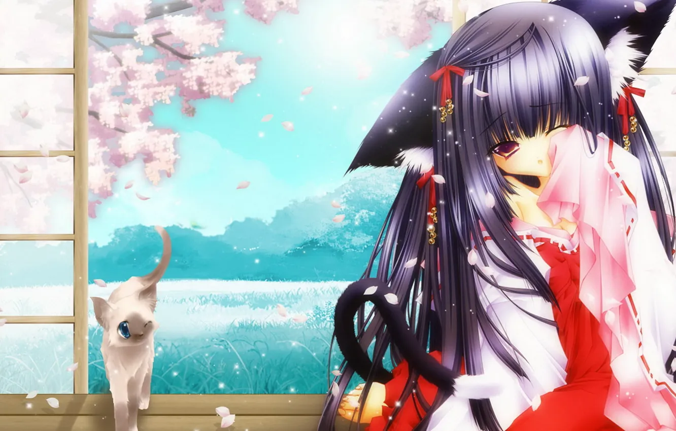 Photo wallpaper cat, Sakura, art, girl, neko, ears