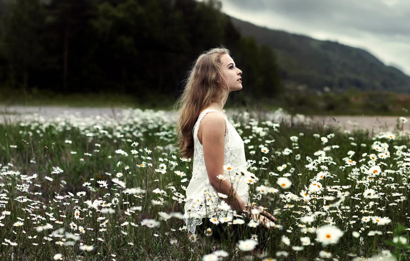 Photo wallpaper field, summer, girl