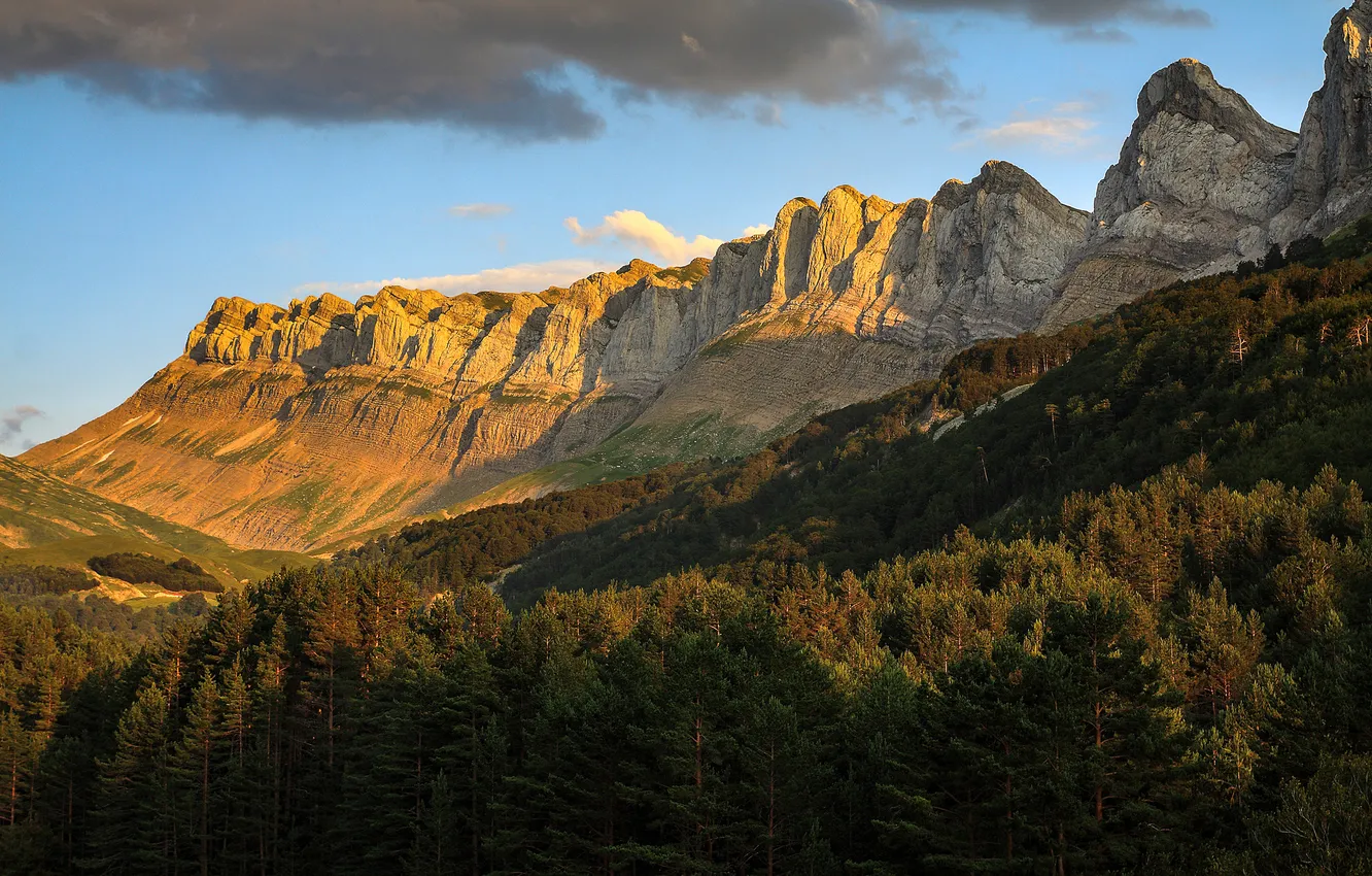 Photo wallpaper forest, the sky, clouds, mountains